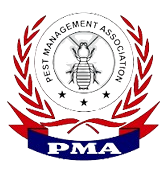 n18-removebg-preview